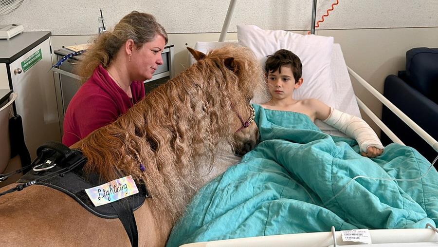 Er staat een paard in de ziekenhuisgang
