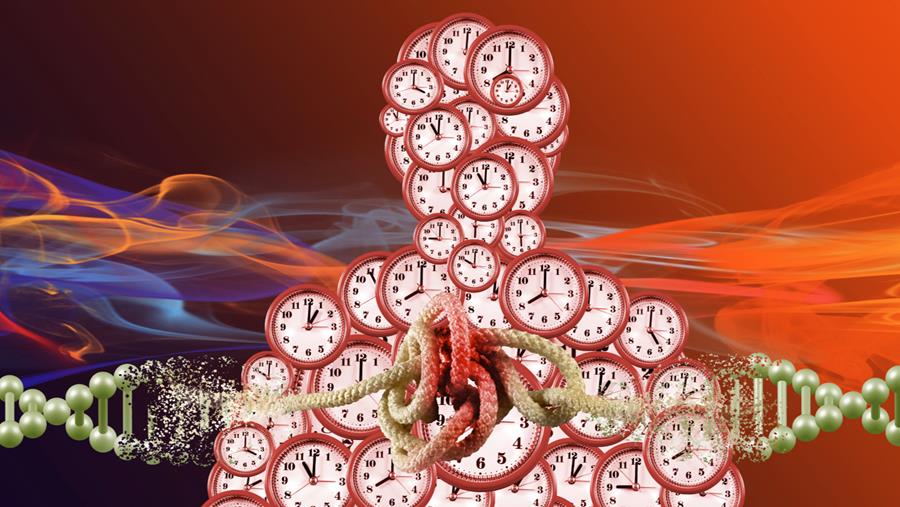 Snellere veroudering bij hiv: met een antiretrovirale behandeling win je bijna vier jaar