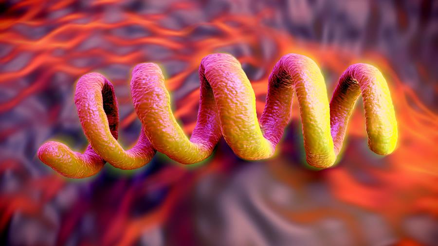 Les cas de syphilis ont doublé en dix ans