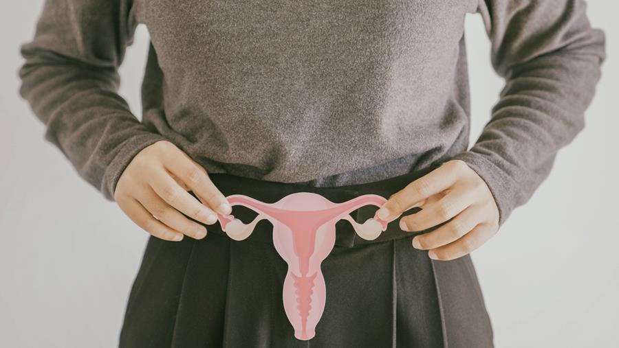 Vandenbroucke: "De kritiek dat de huidige nomenclatuur voor endometriosezorg onvoldoende is, nemen we ernstig"