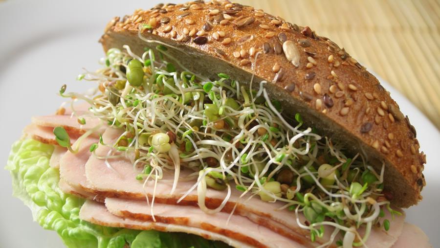 Salmonella: Europese uitbraak door gekiemde zaden treft ook België