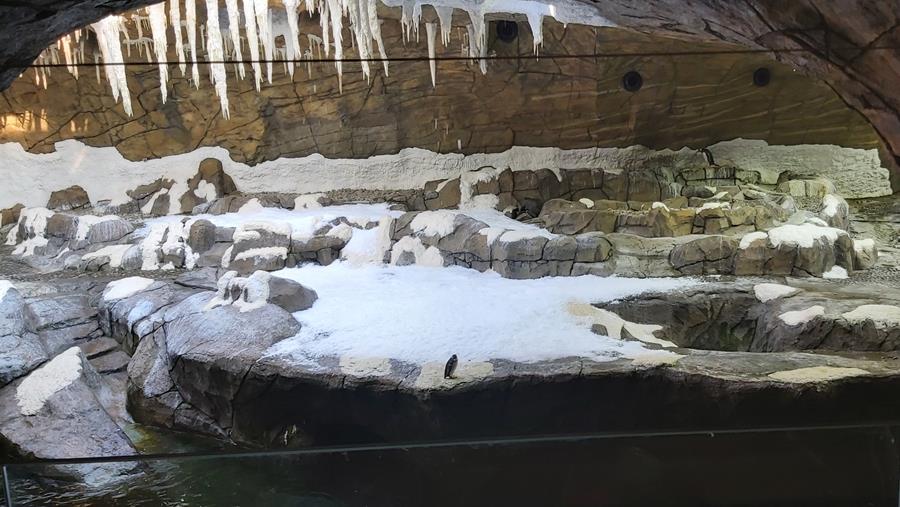 Geneglace, meer dan ijsmachines